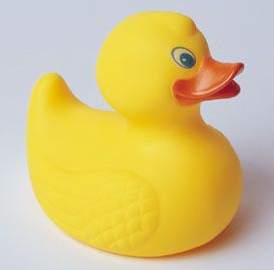 Duck.jpg 4.5 KB