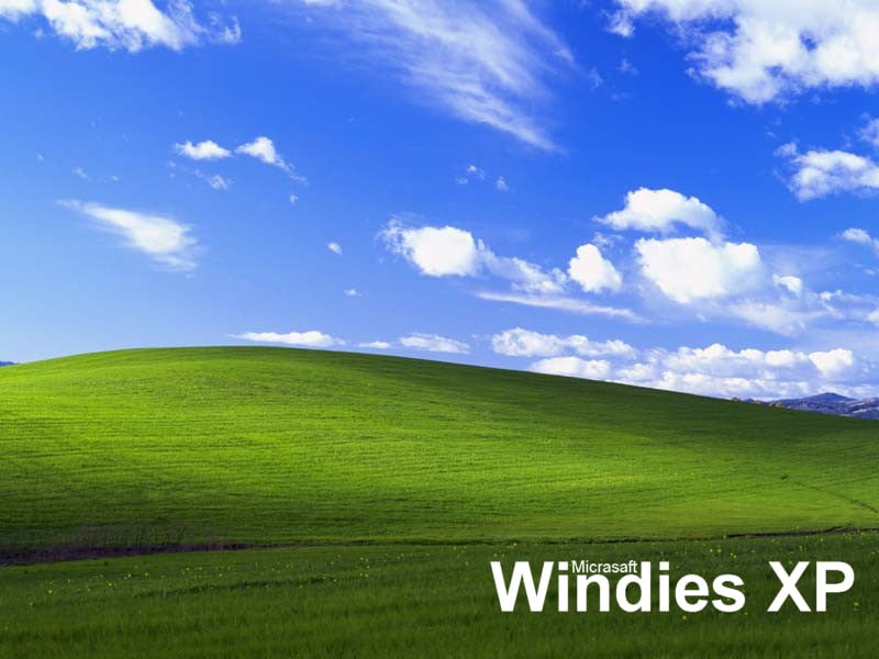 windies.jpg 154.52 KB