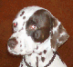 Member Avatar for DenisOxon