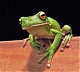 Member Avatar for LeonieJDB