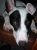 Member Avatar for gordon451