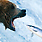 Member Avatar for Sandlapper