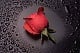 Member Avatar for manoj_maddy70
