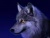 Member Avatar for Wolvenblood