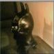 Member Avatar for gotham_ente